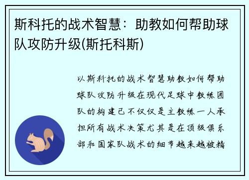 斯科托的战术智慧：助教如何帮助球队攻防升级(斯托科斯)